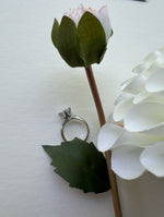 Swarovski Solitaire | Stella