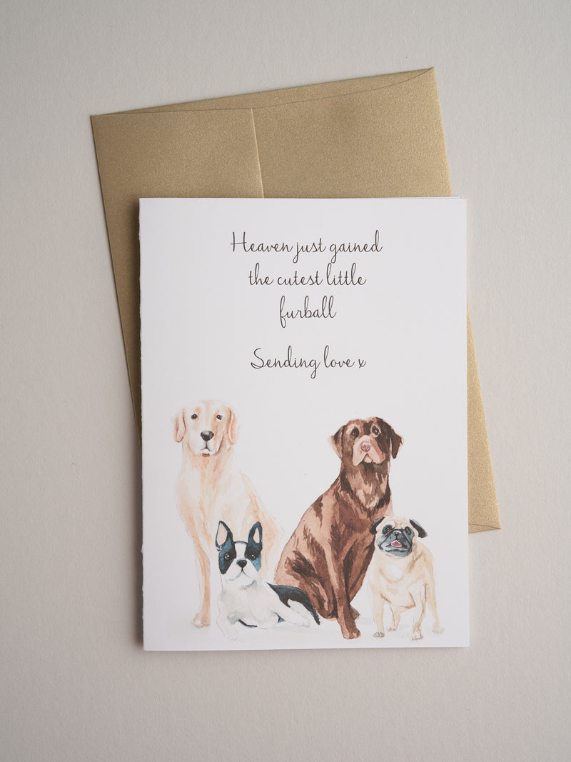 SYM-20-01 | Furball - Greeting Cards - Queen & Grace