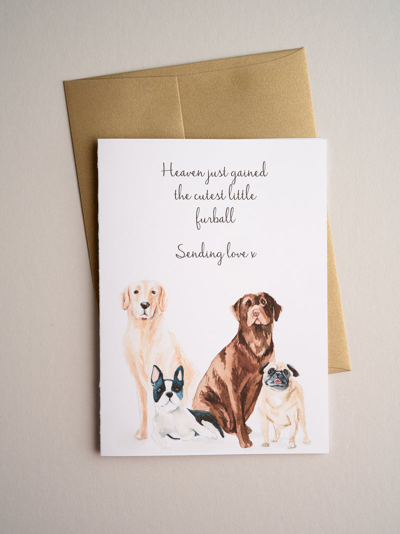 SYM-20-01 | Furball - Greeting Cards - Queen & Grace